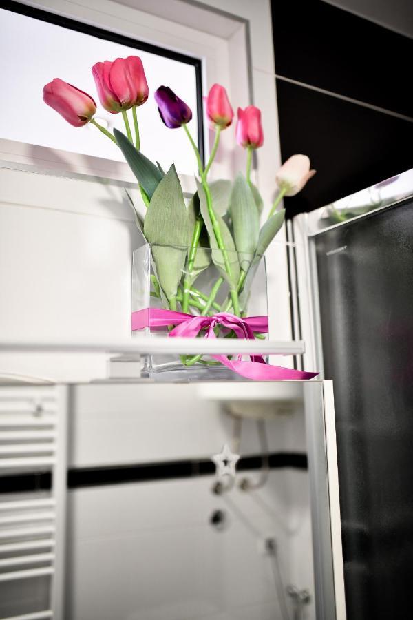 Apartment Lauris Luxury Zadar